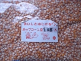 ポップコーン豆