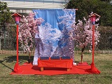 桜ボンボリスタンド高灯籠を使用した装飾例