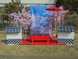 桜スクリーンの装飾