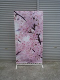 桜タペストリー2