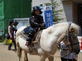 甲冑とポニーの乗馬