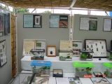 昆虫展