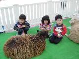 里山の小動物ふれあい