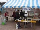 世界のネコ展